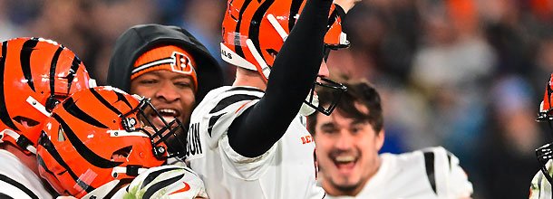 Cincinnati Bengals players celebrate victory over the Titans in the NFL Divisional Round