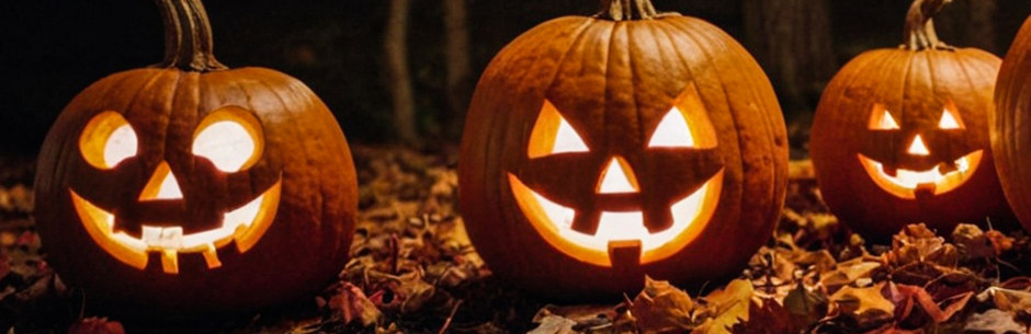 Pumpkin lanterns look happy due to a great Halloween bonus